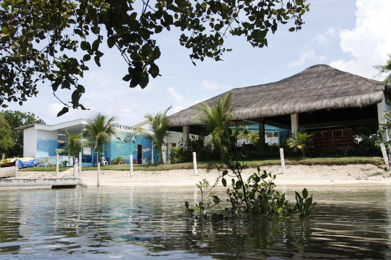 Mangrove Eco Resort Алькой Экстерьер фото